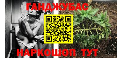 эйфоретик Бердск