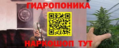 эйфоретик Бердск
