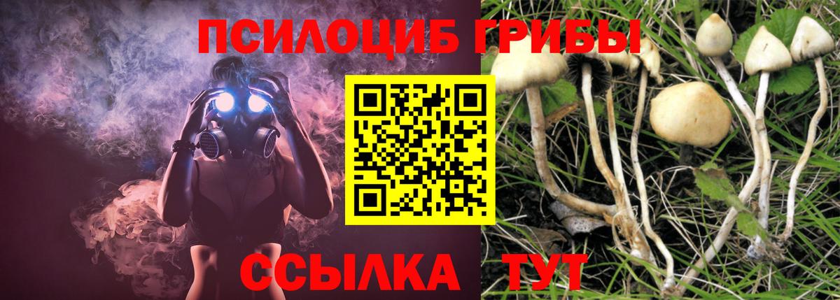 Псилоцибиновые грибы ЛСД  Вход с VPN  Горячий Ключ  Галлюциногенные грибы Cubensis 